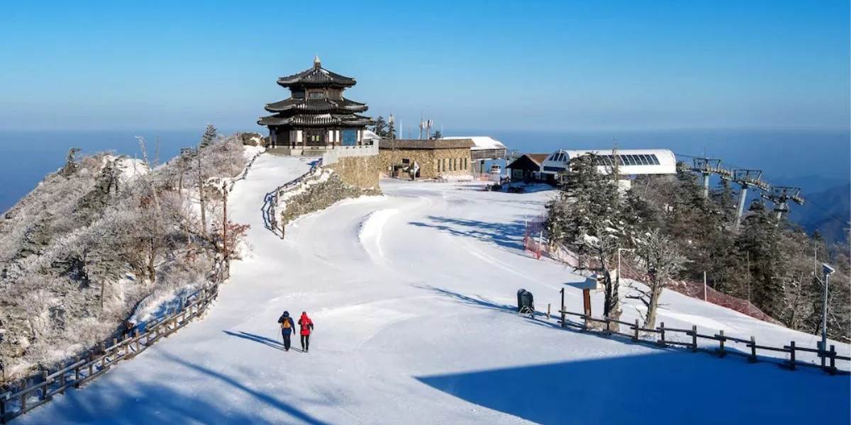 Amritsar to Snow (Dharamshala–Manali)