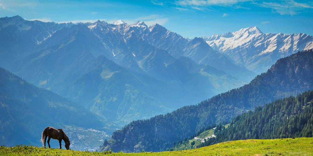 Amritsar to Mountain Loop Adventure
