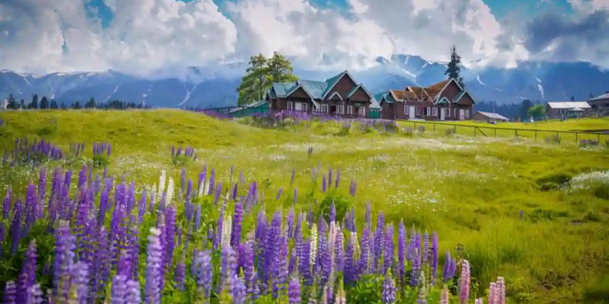 Srinagar–Gulmarg–Pahalgam 7-Day Scenic Tour