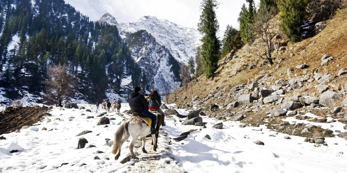 Shimla–Manali Nature Bliss from Chandigarh