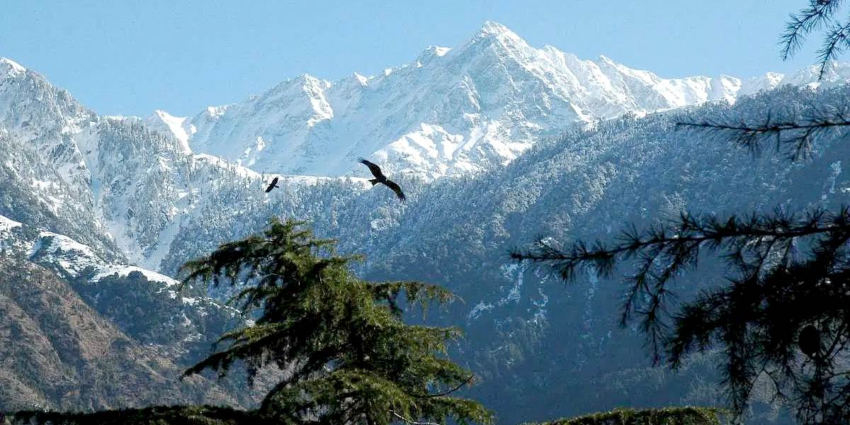 Amritsar to Peaceful Dharamshala Retreat
