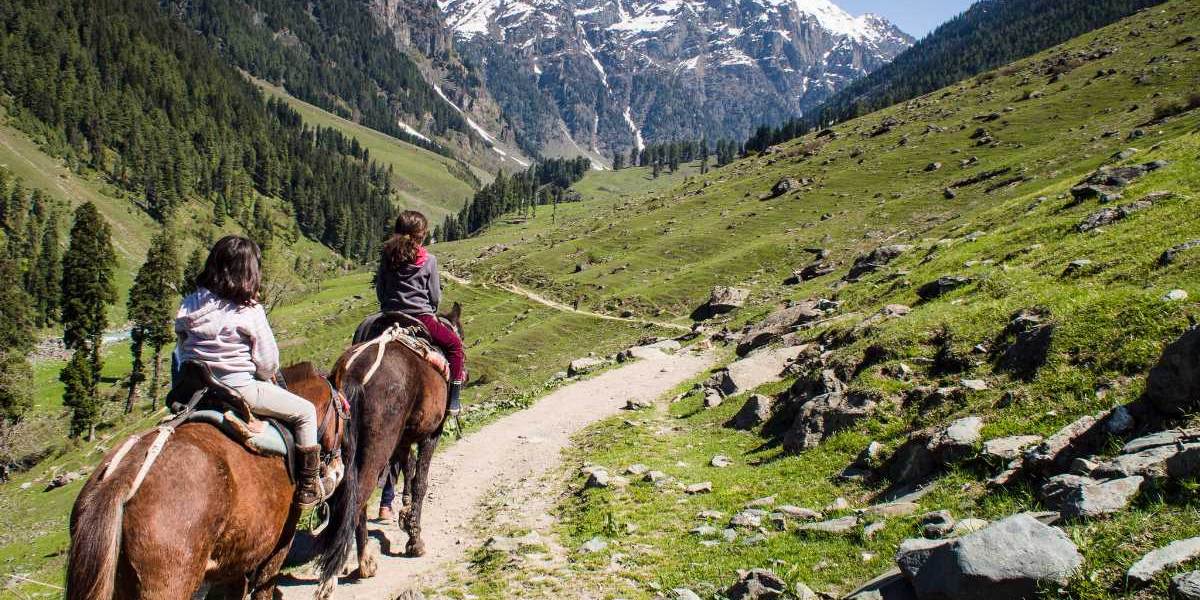 Complete Kashmir Highlights 9-Day Journey