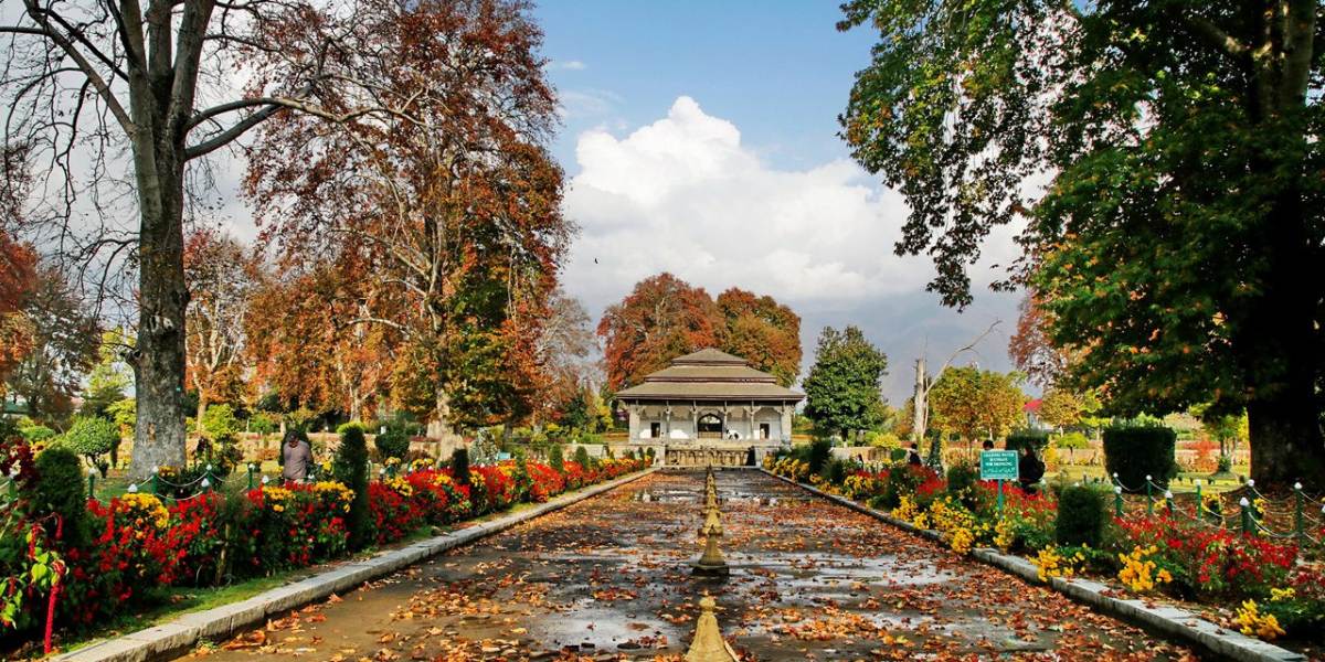 Srinagar Valley Escape from Chandigarh