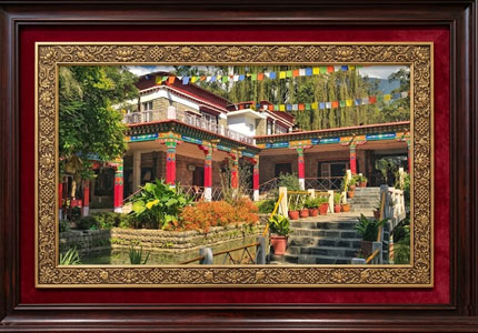 Divine Hills Drive: Amritsar to Dharamshala