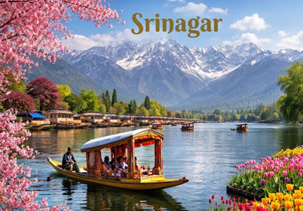 Taxi in Srinagar