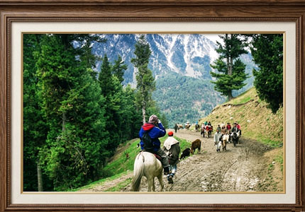 Grand Kashmir Tour: Srinagar, Gulmarg, Pahalgam & Sonmarg